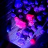 3in1 3xLED UV gemstone torch