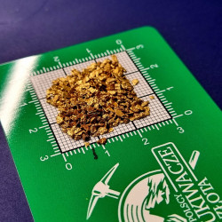 GoldenShark zlatá meracia karta Zelený lesk