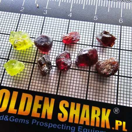 GoldenShark Paydirt|Golden Shark